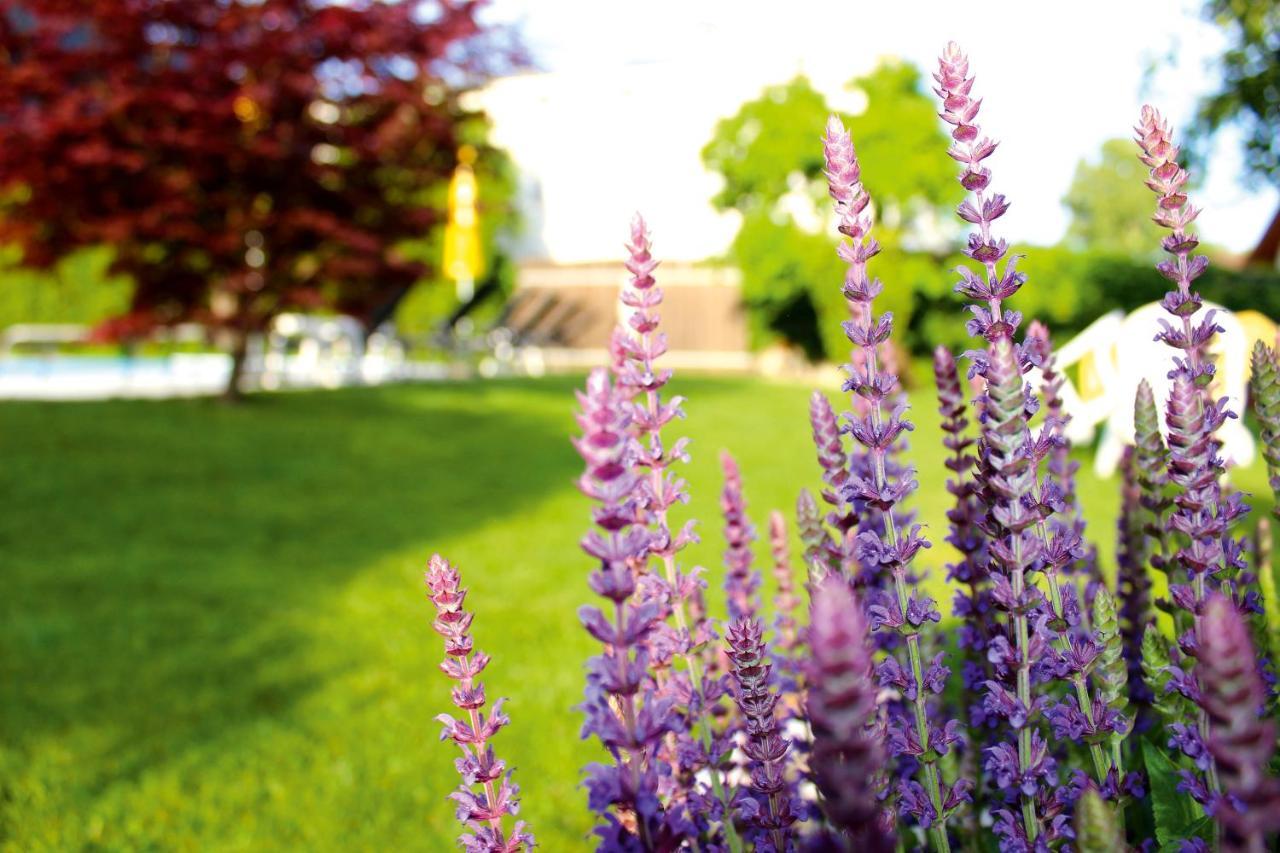 Pension Sattlerenglhof Лачес Экстерьер фото